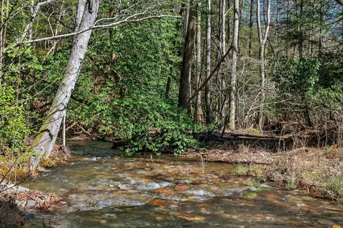 573 Ac Daus Mountain Rd, Palmer, TN 38365