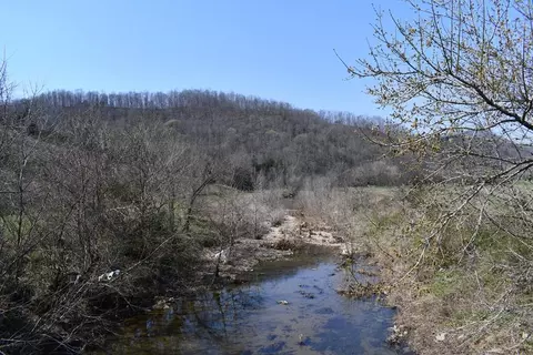 31 14 Ac Dry Mill Creek Rd, Hilham, TN 38568