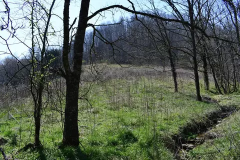 217 5ac Tick Ridge Rd, Celina, TN 38551