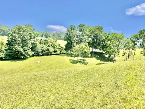 20 21 Lake Mist Trl, Butler, TN 37640
