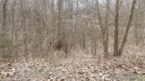 5 51ac Beaver Ln, Gainesboro, TN 38562