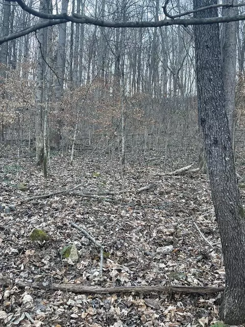 1 Back Bone Rd, Sparta, TN 38583 photo 10