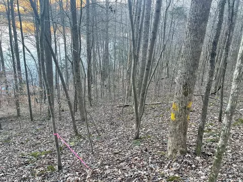 1 Back Bone Rd, Sparta, TN 38583 photo 6