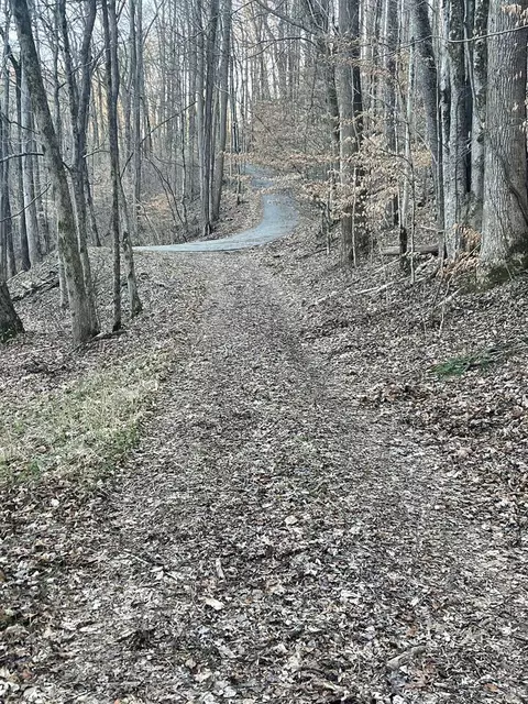 1 Back Bone Rd, Sparta, TN 38583 photo 12