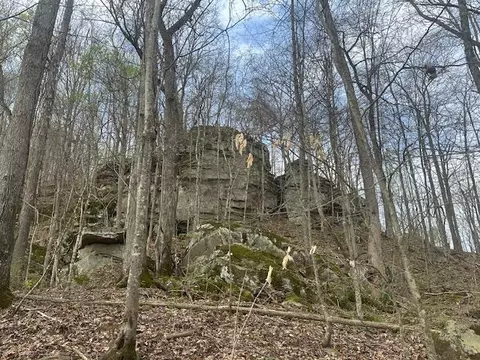 lot84 Buckeye Ln, Wilder, TN 38589