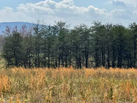Undisclosed, Crab Orchard, TN 37723