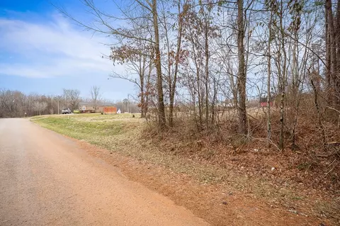 00 Pine Ave, Morrison, TN 37357 photo 14