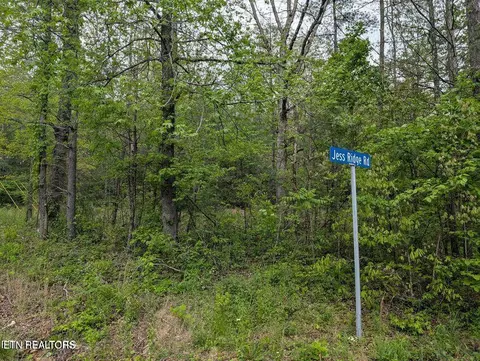 158 Jess Ridge Rd, Lancing, TN 37770