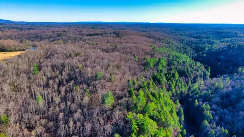 Tract 2 Ervin Brown Road, Sunbright, TN 37872
