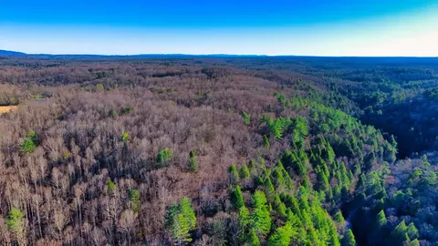 Tract 3 Ervin Brown Road, Sunbright, TN 37872