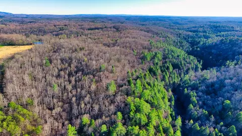 Tract 5 Ervin Brown Road, Sunbright, TN 37872