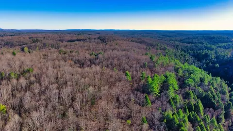 Tract 6 Ervin Brown Road, Sunbright, TN 37872