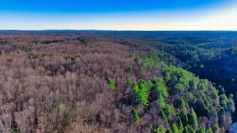 Tract 7 Ervin Brown Road, Sunbright, TN 37872