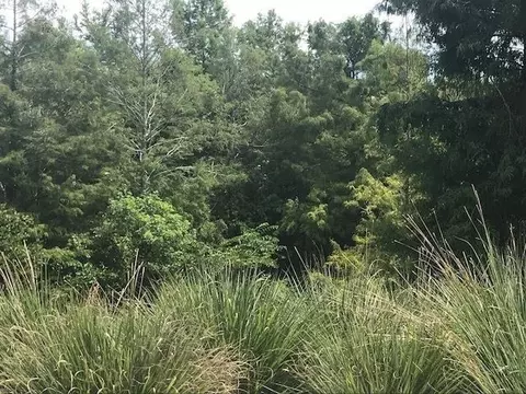 1604 Goforth Rd, Spencer, TN 38585