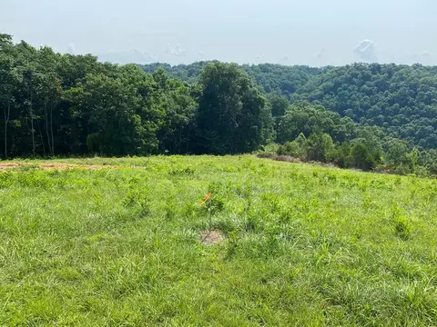 lot11 H O Allison, Baxter, TN 38544