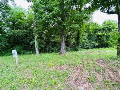 lot152 C Swan Ridge Rd, Hilham, TN 38568