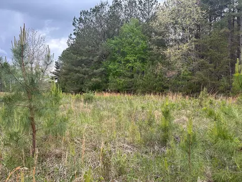 lot53 Pioneer Ln, Spencer, TN 38585