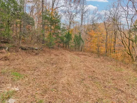 0 Ensor Hollow Rd, Buffalo Valley, TN 38548