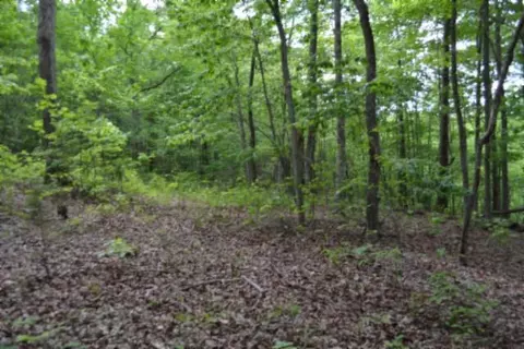 lot6 Forest Trails Ln, Celina, TN 38551