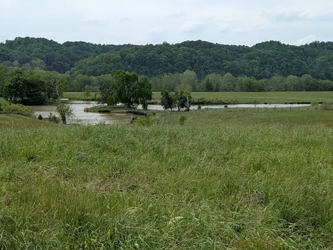 6 Rivertown Rd, Burkesville, KY 42717