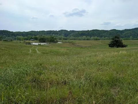 10 Rivertown Rd, Burkesville, KY