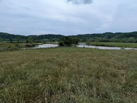 19 Rivertown Rd, Burkesville, KY 42717