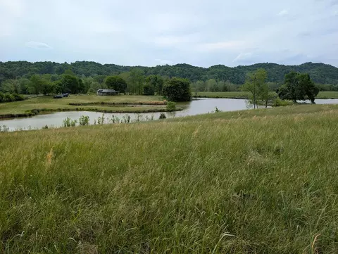 20 Rivertown Rd, Burkesville, KY 42717