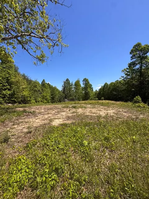 3088 Buckner Rd, Monterey, TN 38574