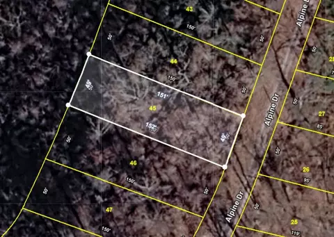 lot45 Alpine Dr, Smithville, TN 37166