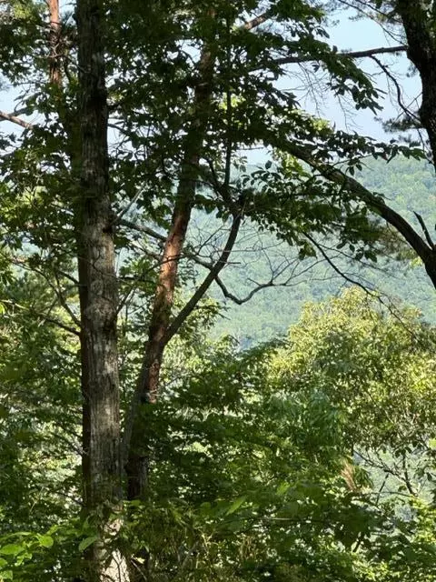 285 Purple Iris, Wilder, TN 38589