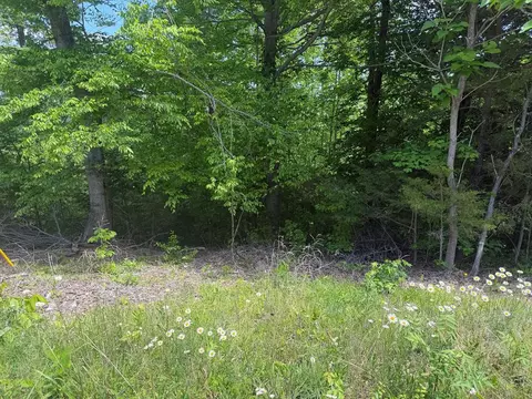 50 82 Ac Buzzard Roost Rd, Jamestown, TN 38556