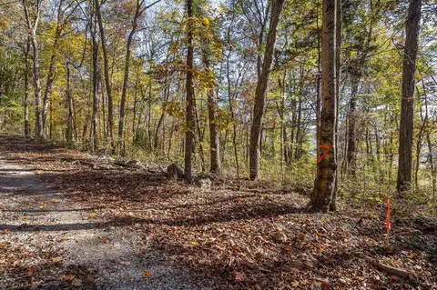 23 19 Ac Webbs Camp Rd, Walling, TN 38587 photo 17