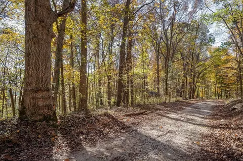 23 19 Ac Webbs Camp Rd, Walling, TN 38587 photo 18
