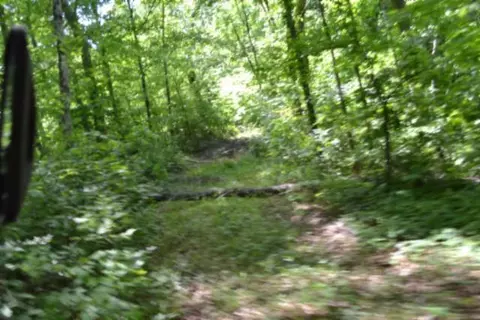 7 50ac Beauchamp Rd, Burkesville, KY 42717