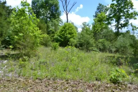 31 22ac Beauchamp Rd, Burkesville, KY 42717