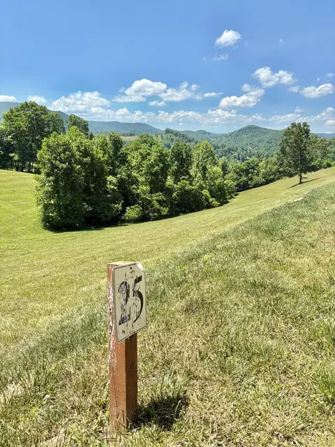 lot25 Draft, Butler, TN 37640