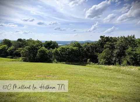 82 Mallard Rd, Hilham, TN 38568