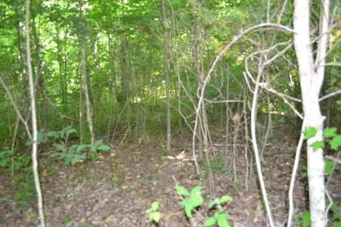 5 Ac Dynamite Ln, Livingston, TN 38570