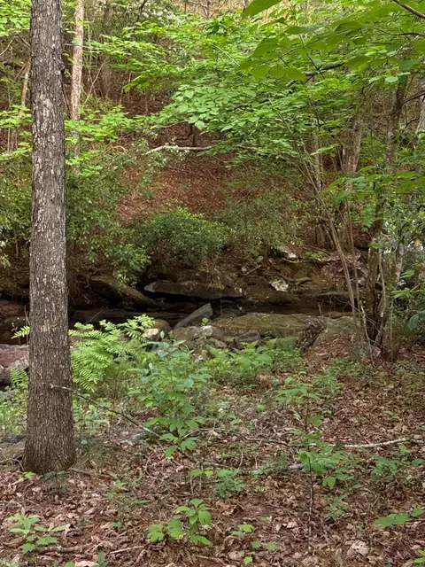 0 Genesis Rd - 1014 Acres, Crossville, TN 38571