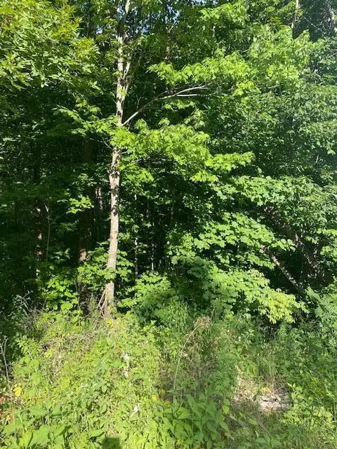 Undisclosed, Wilder, TN 38589