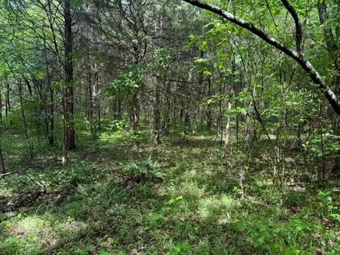 03 Freeze Rd, Morrison, TN 37357