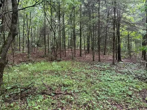 08 Teeters Rd, Morrison, TN 37357 photo 3
