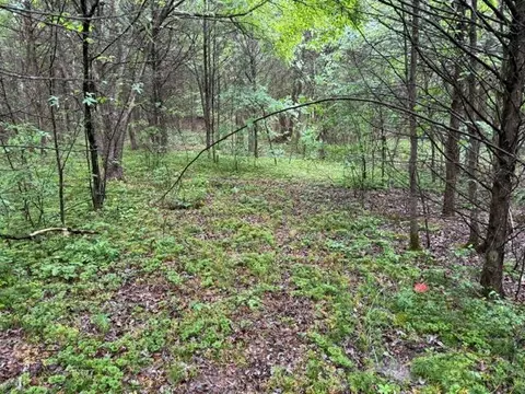 08 Teeters Rd, Morrison, TN 37357