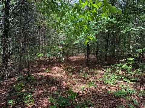 02 Smoot Rd, Morrison, TN 37357 photo 3