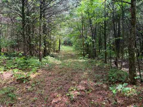 02 Smoot Rd, Morrison, TN 37357 photo 2