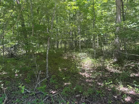 lot251 Buck Cir, Spencer, TN 38585