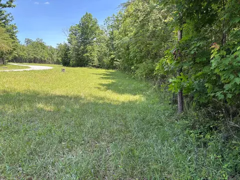 lot232 Long Branch Rd, Spencer, TN 38585