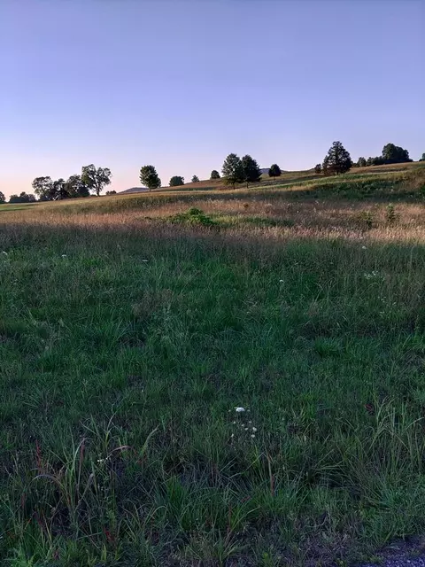 0 Collins Run Lot 51 52, Mcminnville, TN 37110