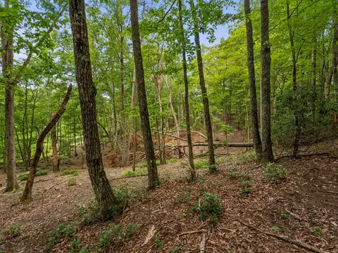 3 21 Ac Eagle Rock Rd, Monteagle, TN 37356 photo 16