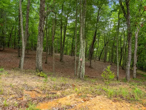 3 21 Ac Eagle Rock Rd, Monteagle, TN 37356 photo 22